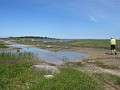 IMG_0526