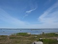 IMG_0550