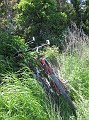IMG_0552