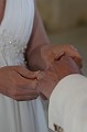 IMG_3427