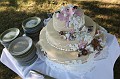 IMG_3884