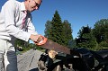 IMG_3952