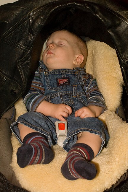PICT9555.jpg