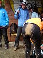 DSC00273