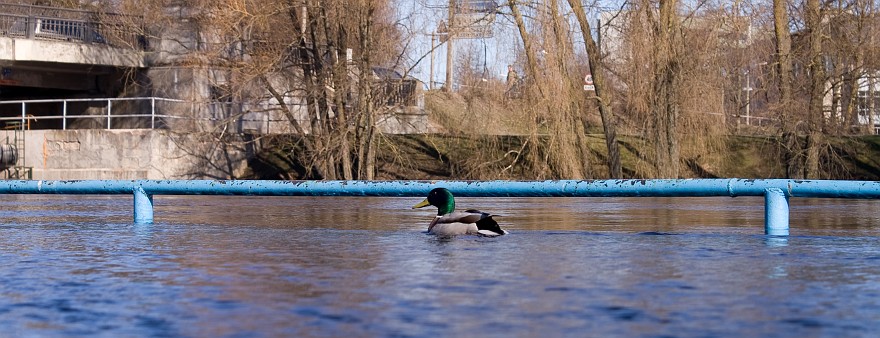 PICT0451.jpg