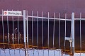 PICT0443
