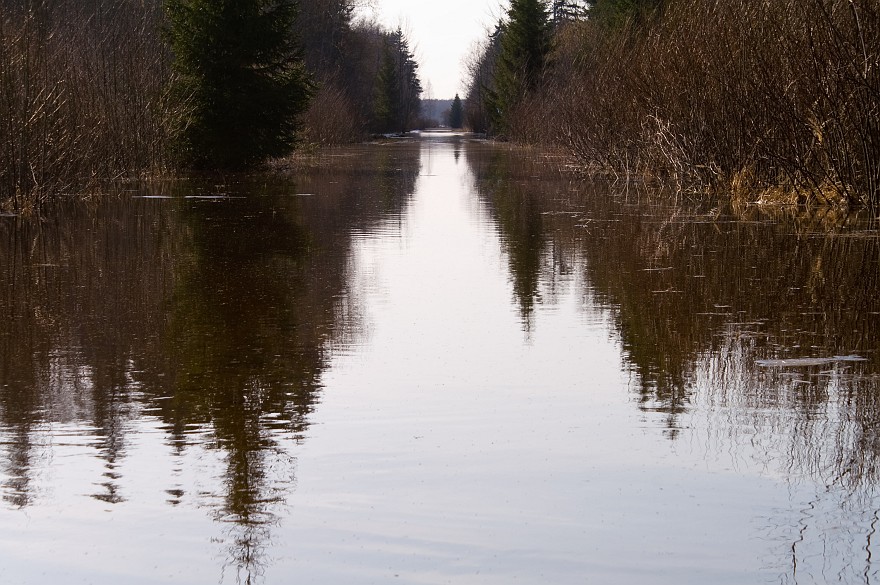PICT0373.jpg