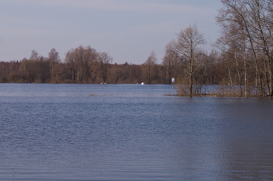 PICT0380.jpg