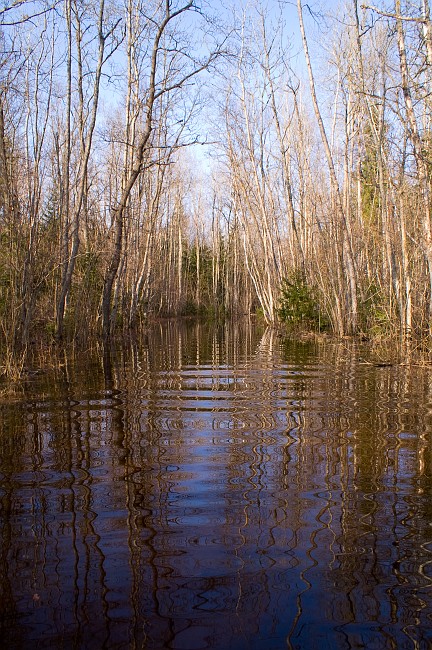 PICT0392.jpg