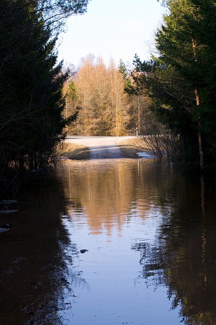 PICT0410.jpg