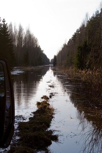 PICT0413.jpg